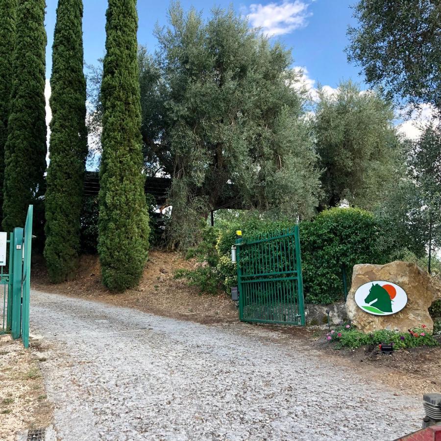 Agriturismo Poggio Del Drago Монтемерано Екстер'єр фото