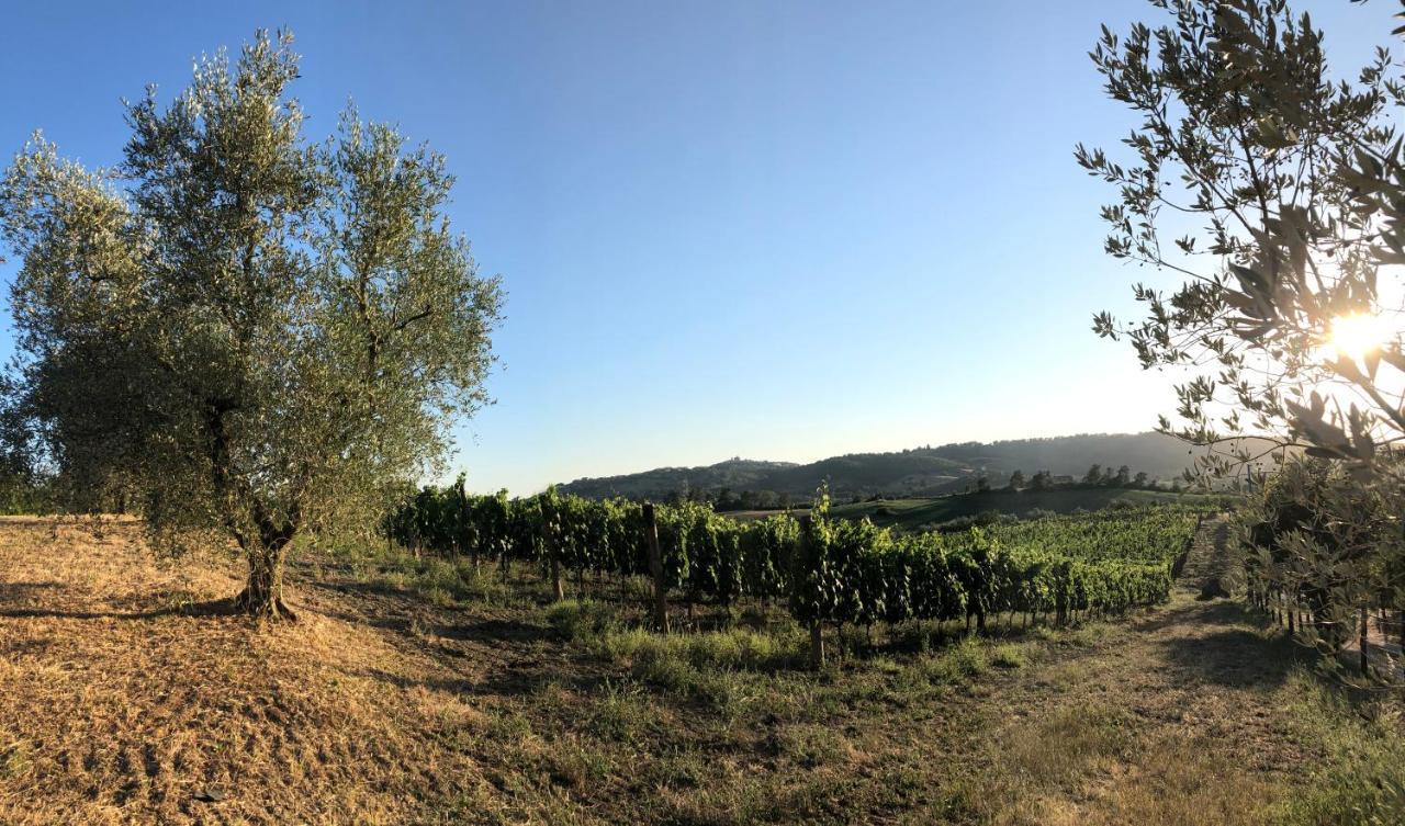 Agriturismo Poggio Del Drago Монтемерано Екстер'єр фото