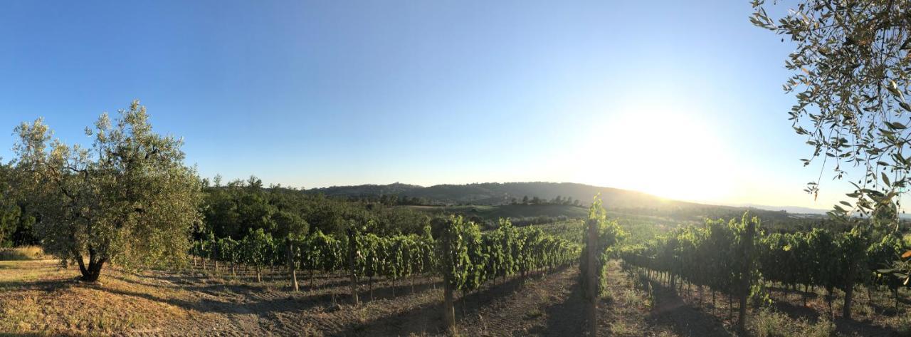 Agriturismo Poggio Del Drago Монтемерано Екстер'єр фото