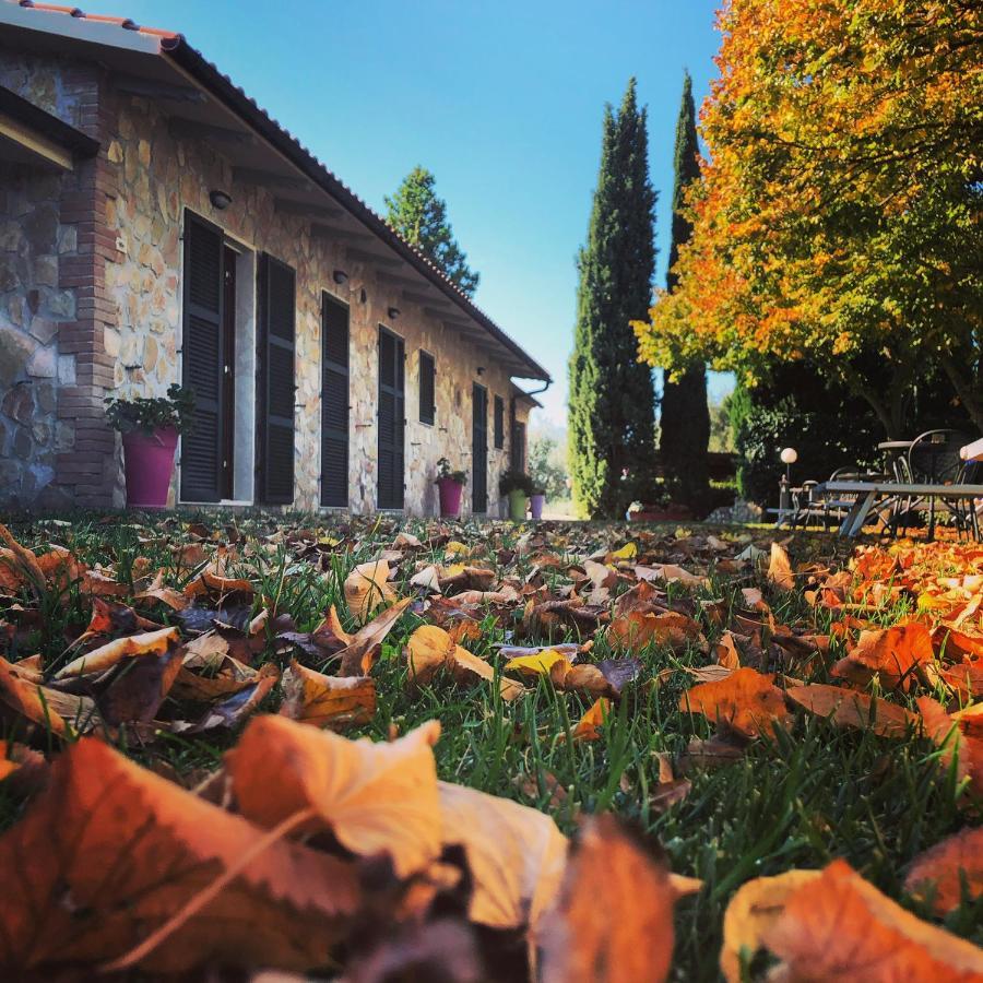 Agriturismo Poggio Del Drago Монтемерано Екстер'єр фото