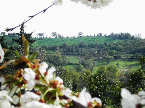 Agriturismo Poggio Del Drago Монтемерано Екстер'єр фото