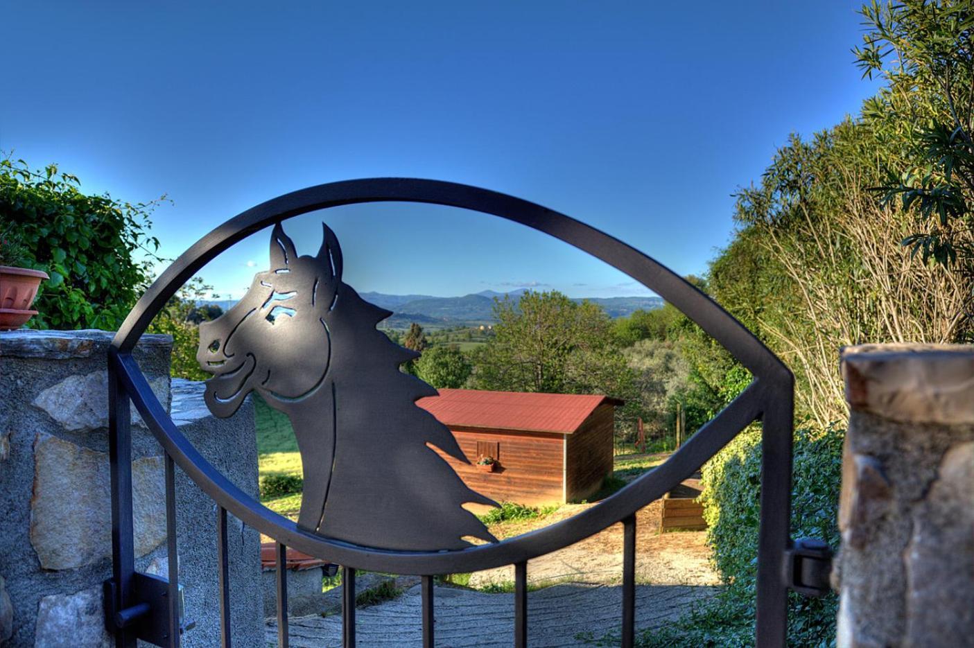 Agriturismo Poggio Del Drago Монтемерано Екстер'єр фото