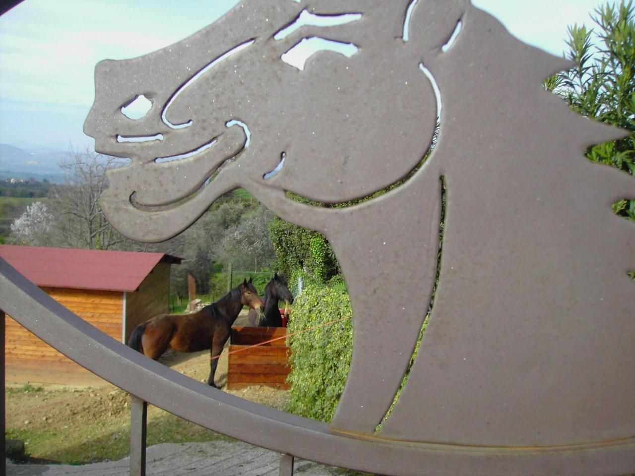 Agriturismo Poggio Del Drago Монтемерано Екстер'єр фото