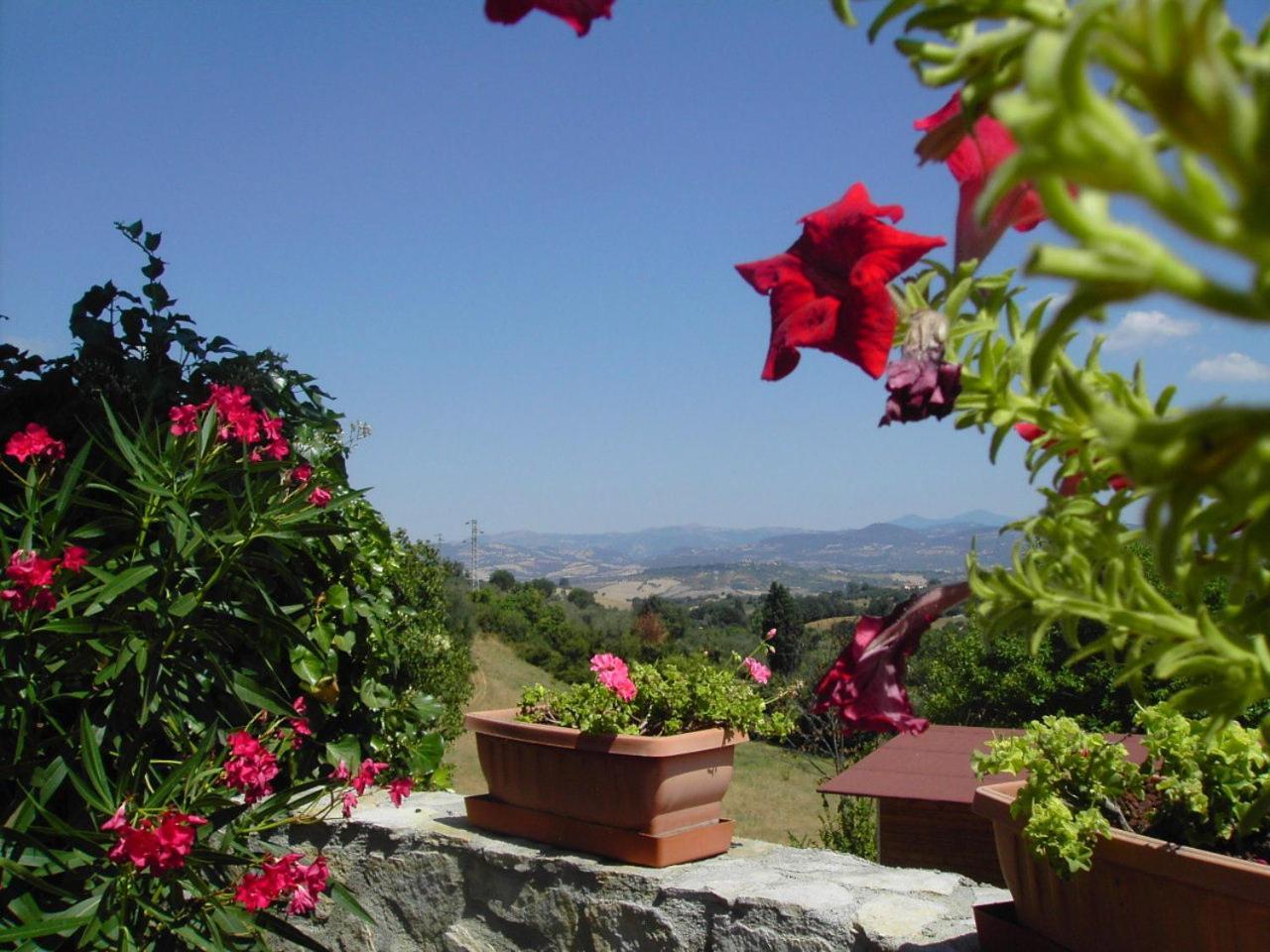 Agriturismo Poggio Del Drago Монтемерано Екстер'єр фото