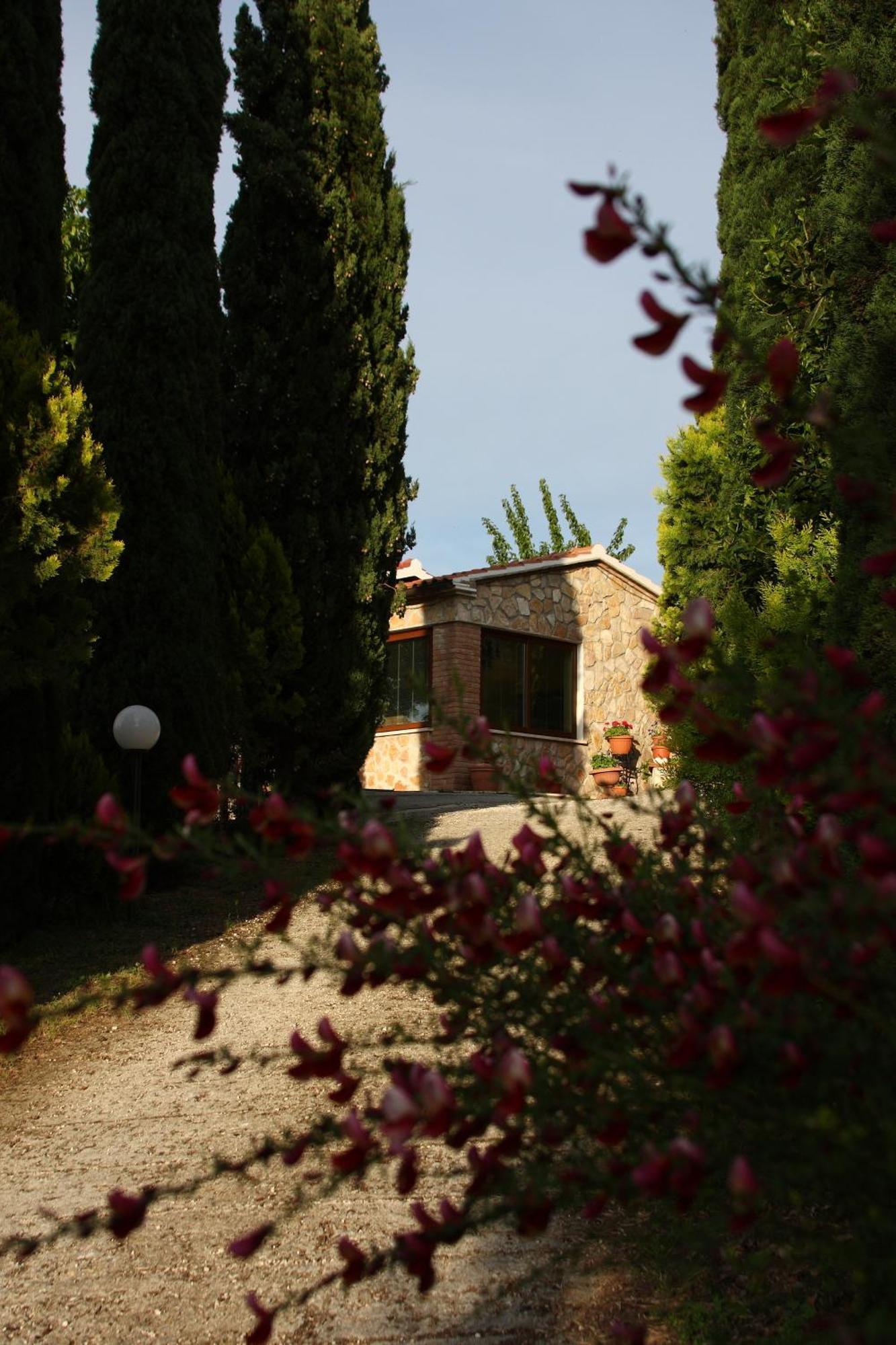 Agriturismo Poggio Del Drago Монтемерано Екстер'єр фото